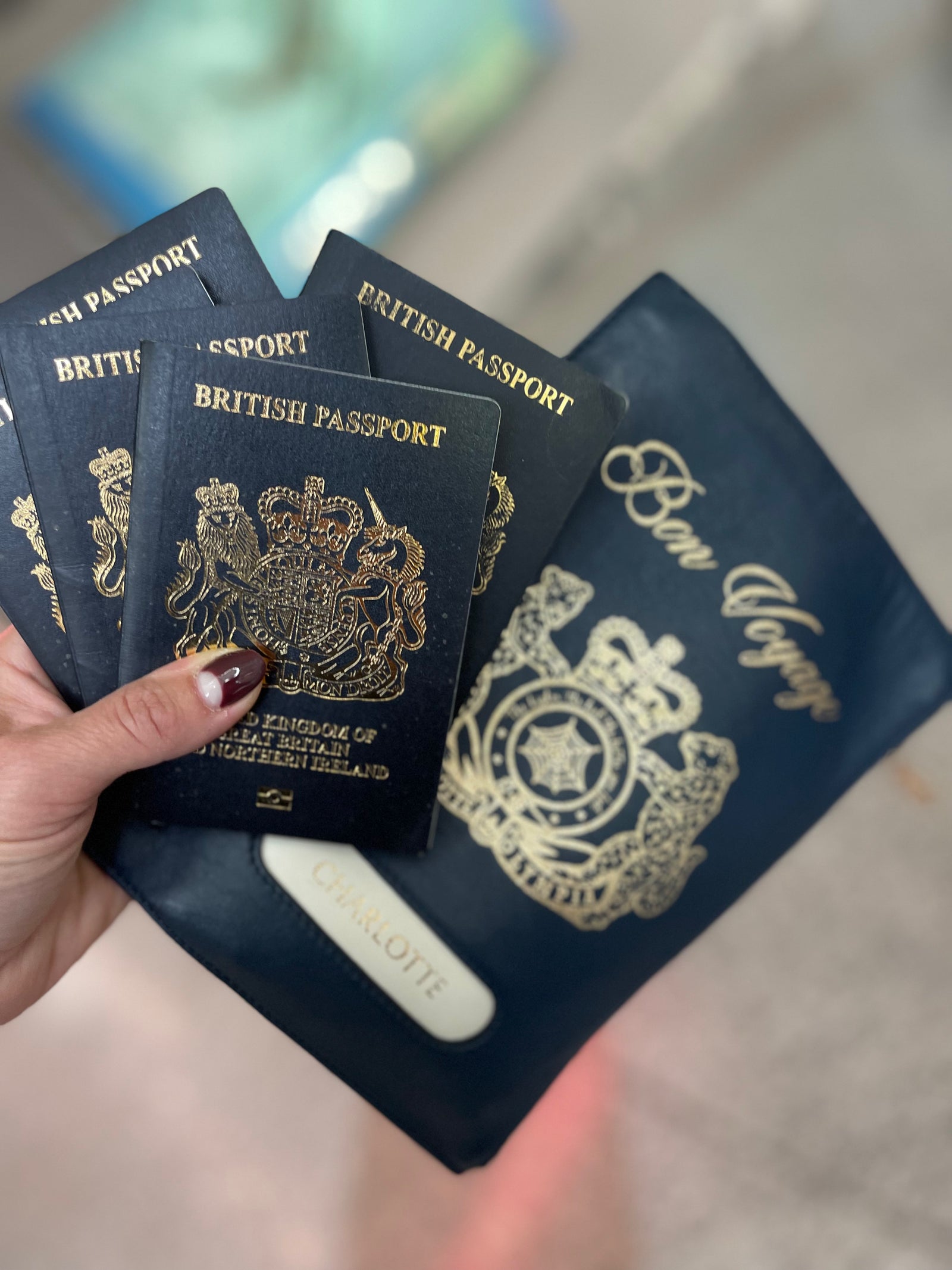Charlotte Olympia ポシェット Bon Voyage – Charlotte Olympia